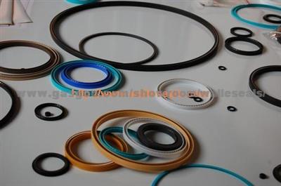 Variseal Glyd Ring Step Seals Guide Strip