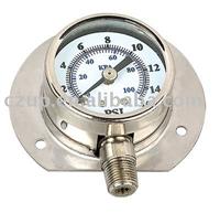 High Quality Competitive Price Pressure Gauge