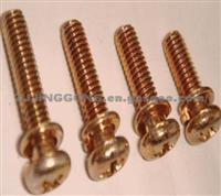 Brass  Pan Head  Two  SEM  Screws With Small Head