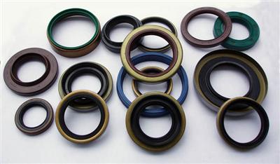 High quality oil seal and PTFE seals