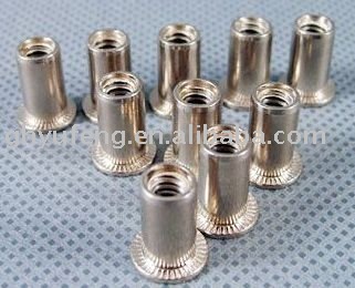 standard stainless steel flat head rivet Nuts