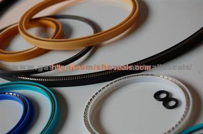 Rotary Seals