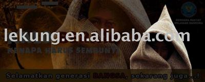 EL Advertisement/EL poster/EL sign(High-quality)