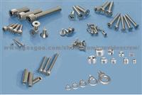 Stainless Steel Washer Screw  Nut  Bolt