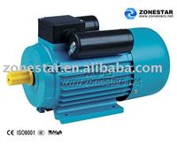 Induction motor