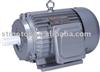 Y series electric motor