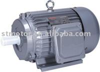 Y Series Three-Phase Induction Motor