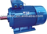 Three-Phase Induction Motor