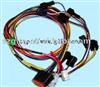 Automotive internal wiring harness