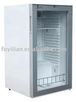 FYL-YS-100L Incubator 100L (OEM)