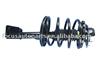 Shock Absorber Strut Assembly