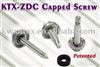 ZDC Capped Screw