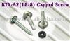 Stainless Steel (A2/18-8) Capped Screw