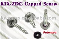 ZDC Capped Screw