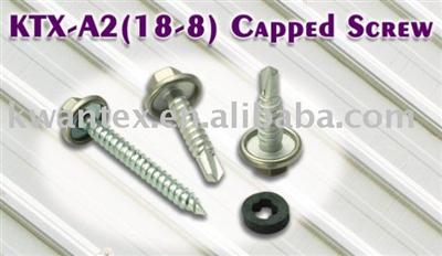 Stainless Steel (A2/18-8) Capped Screw