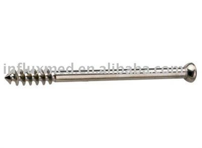 Metal Bone Screw (deep Thread)