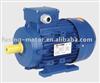 Ms(IE2) Three Phase Aluminium Electric Motor