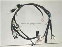 Wire Harness  for  Dune  Buggy