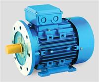 MS THREE PHASE ALUMINIUM HOUSING MOTOR