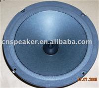 Pa speaker, woofer, loudspeaker