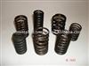 Compression Spring