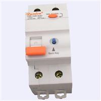 Residual Current Circuit Breaker (YDL-2P) 230/400V 6to63A 10to500mA