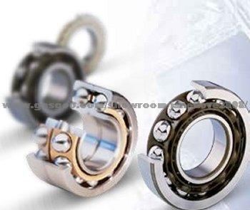 Double Row Deep Groove Ball Bearing