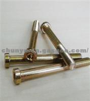 T40-3411013 Hexagon Head Bolt