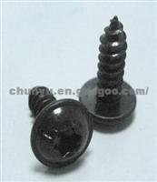 9273124 Phillips Self-tapping Screws