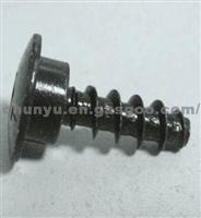 5118526 Phillips Self-tapping Screws