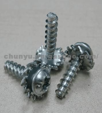 8111018-c0100-01 Screws with Serrated Lock Washers