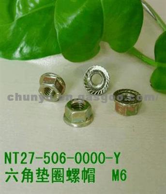 NT27-506-0000-Y Hexagon Nut Washer