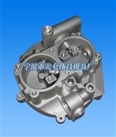 Cng Parts Aluminum Alloy Die-casting Mold