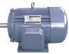 three Phase Induction Motor