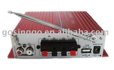 Tube Amplifier with FM Car Amplifier