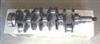 Mitsubishi Crankshaft (4d55)