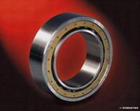 BMW Zwz Cylindrical Roller Bearing Nu000 Gift & Best 7700881