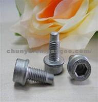 Hexagon Socket Head Bolts M7.0*15