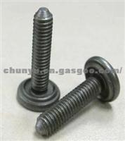 7903011266 Welding Screw M6X25