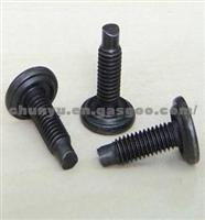 7903011377 Welding Screw M6×20