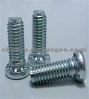 30377851 Riveted Screw 6*16