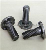 RQ1980820 Lap Welding Screw M8×20