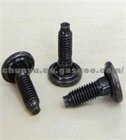 Lap Welding Screw Z7903011377A