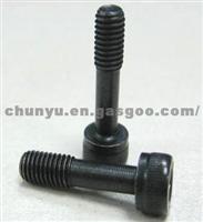 M5*20 Hexagon Hole Semi-thread Screw (ewo)