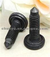 7903011466 Lap Welding Screws  Vertebral End