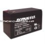 6-FM-8 Battery