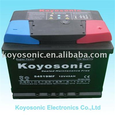 Provide SMF car battery
