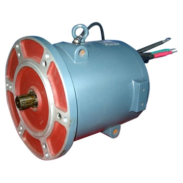 Rare-earth permanent magnet brushless DC motor