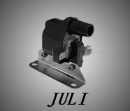 electronic ignition coil