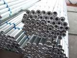 seamless  tube  steel